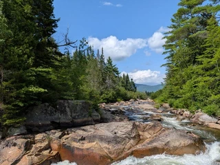 The river carving its way through the pines