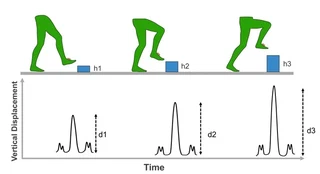 Obstacle-clearance validation: participants step over boxes of increasing height, and the peak vertical displacement is compared against each box