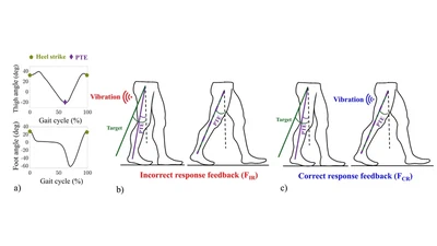 The Effects of Real-Time Haptic Feedback on Gait and Cognitive Load in Older Adults featured image